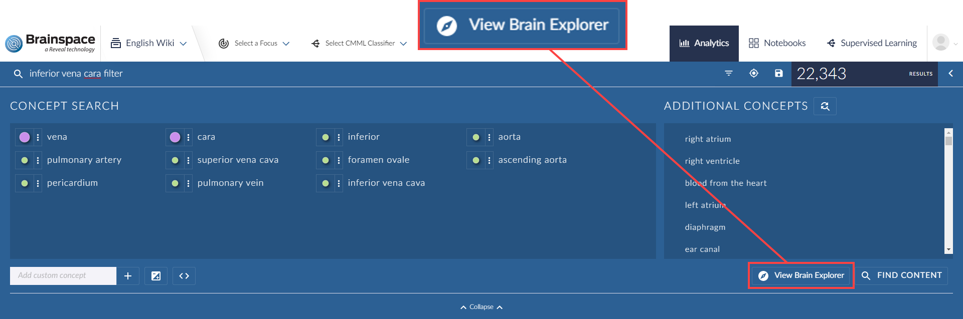go to brain explorer 2